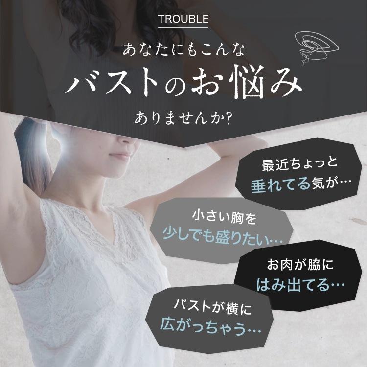【公式】プリンセスアーチ 添えブラ 単品 添えるブラ 補正ブラジャー 小胸 補正下着 ブラ ブラジャー 胸 大きい 補正 脇肉 背肉 わき肉  脇高ブラ ナイトブラ 垂れ 離れ  昼夜兼用 大きいサイズ 姿勢